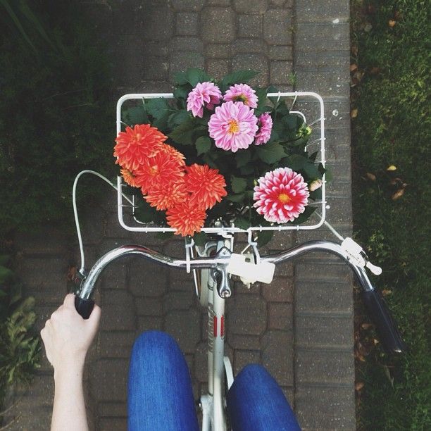 Фото Велосипедная корзинка заполненная цветами, вид сверху