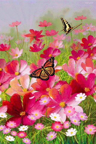 Фото Над цветами порхают две бабочки,