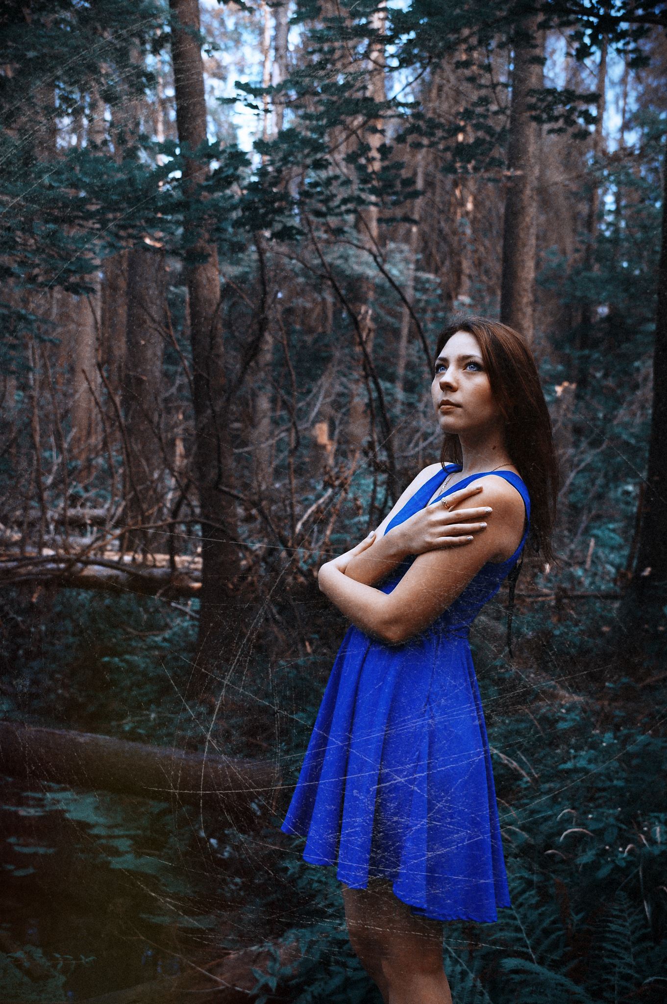 Фото Девушка в лесу