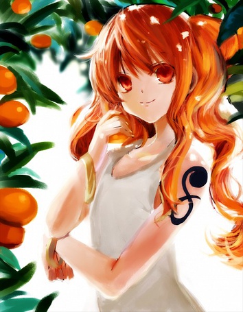 Photo Nami / Nami from the anime one piece / One Piece (© Maya Natsume), добавлено: 06.07.2014 00:03