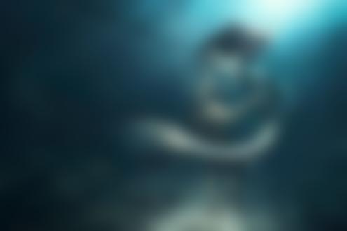 Фото Русалка рядом с мужчиной в скафандре под водой, by Lightfarm Studios
