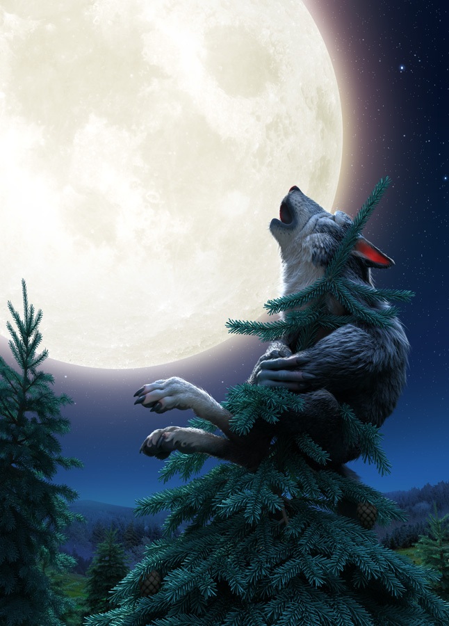 Фото Одинокий волк воет на луну сидя на верхушке ели, художник Никита Веприков