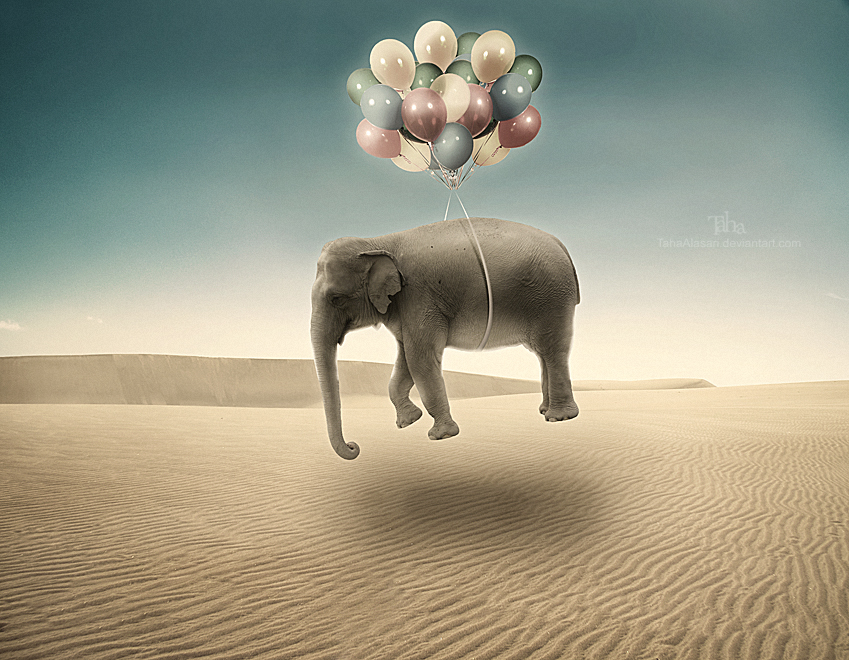 Фото Слон на воздушных шарах