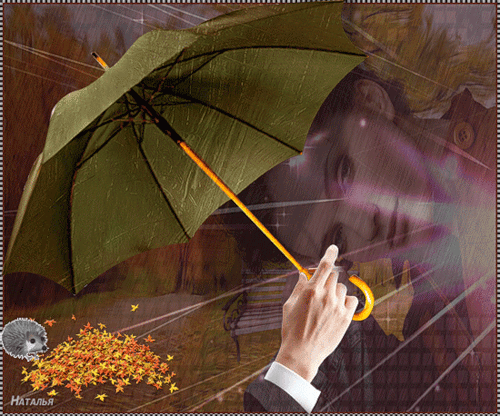 Фото Зонт в мужской руке, женское лицо и еж, роющийся в куче желтых, осенних листьев (Наталья)
