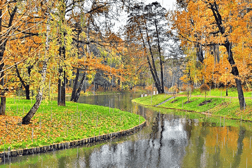 Фото Осень в парке Царицыно, Москва / Moscow