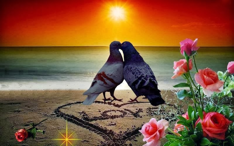 Фото Два голубя сидят на берегу моря, на фоне заката, вокруг растут розы, на песке нарисовано сердечко и написано LOVE (Любовь)