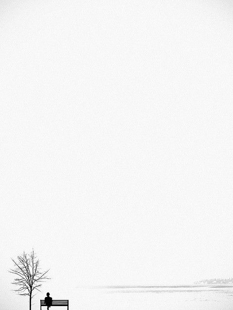 Фото Дерево и человек на лавочке на белом фоне