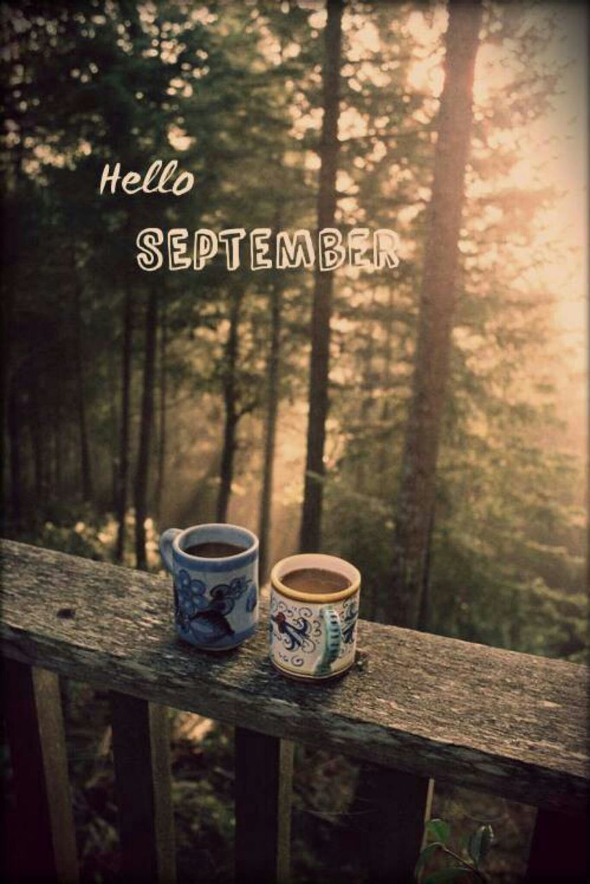Фото Две чашки с напитком на фоне леса (Hello September / Привет сентябрь)
