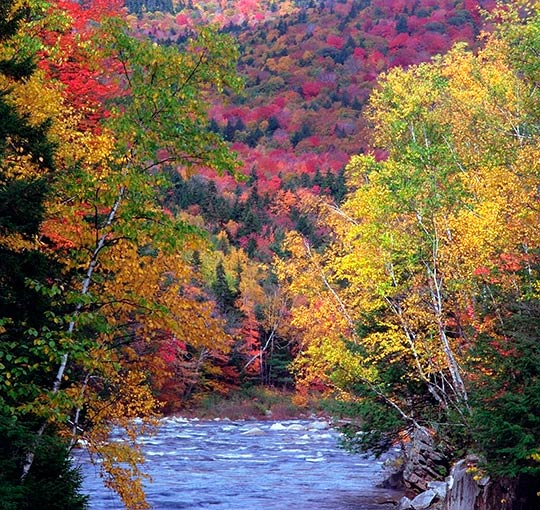Фото Река на фоне осеннего леса