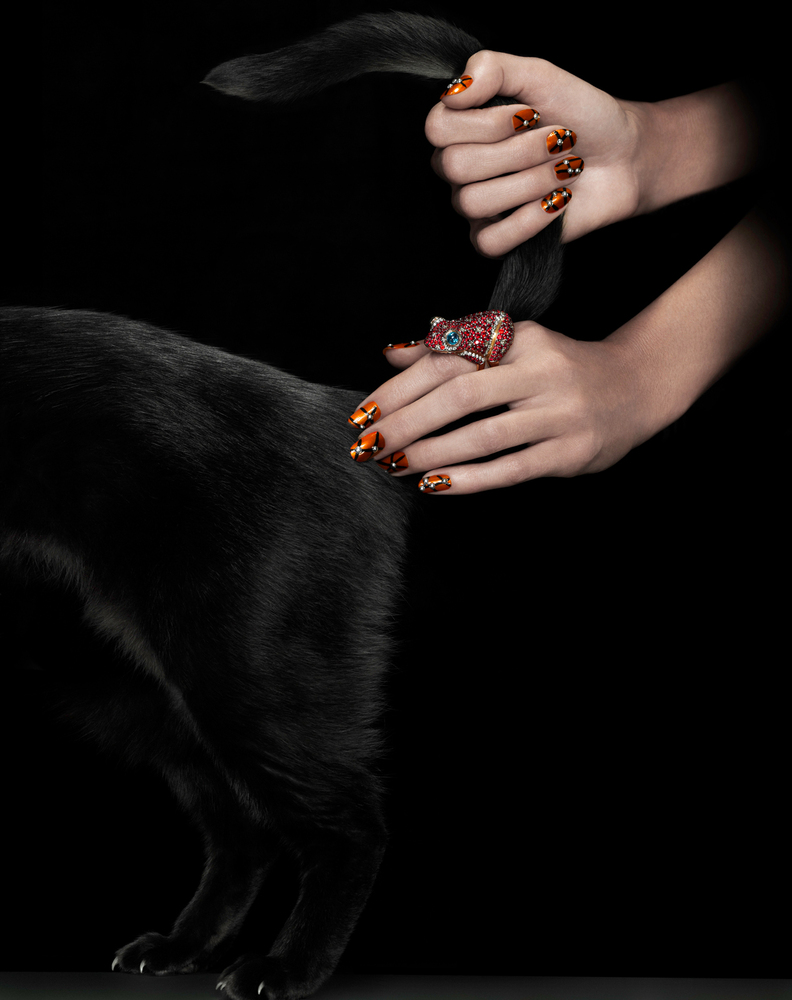 Фото Женские руки в украшениях держа хвост черного кота
