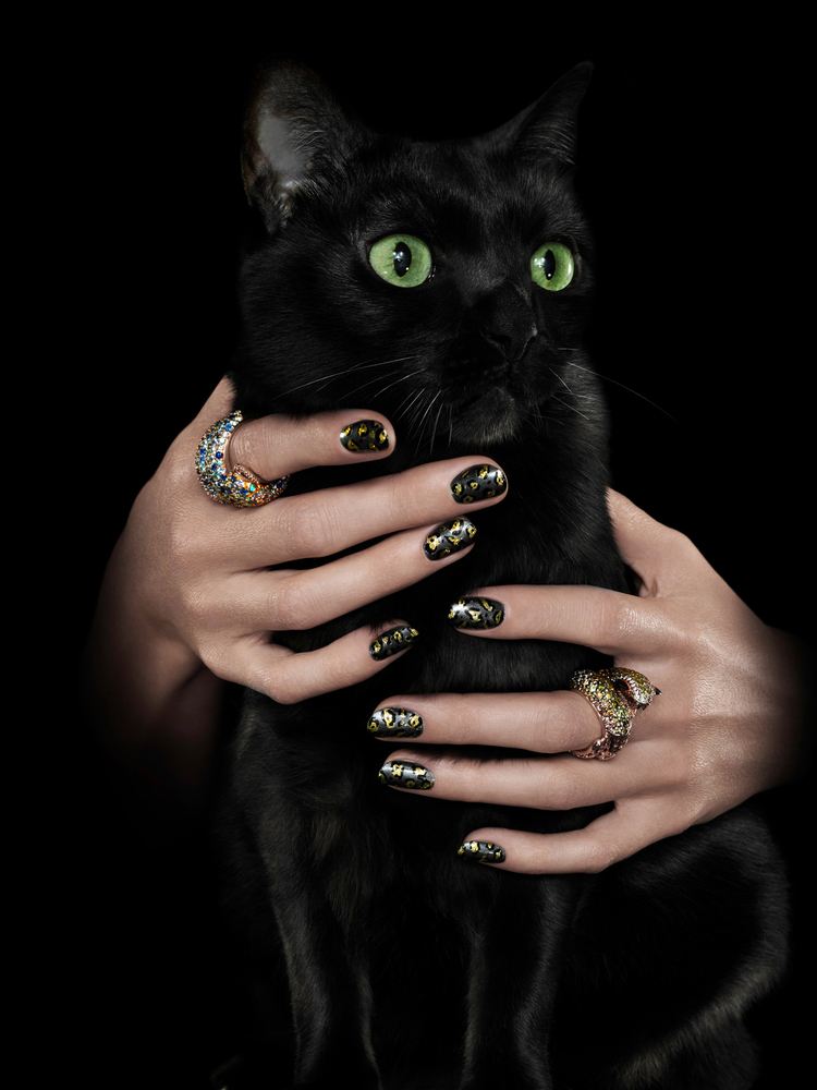 Фото Черный кот с зелеными глазами в женских руках