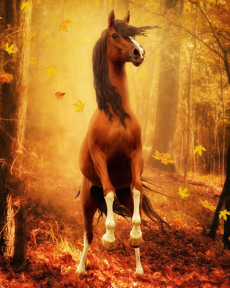 Фото Лошадь в осеннем лесу, вокруг нее кружат кленовые листья