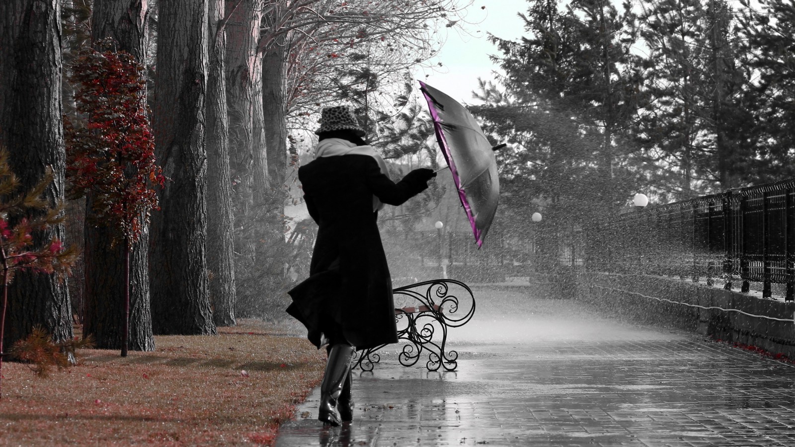 Фото Девушка с зонтиком
