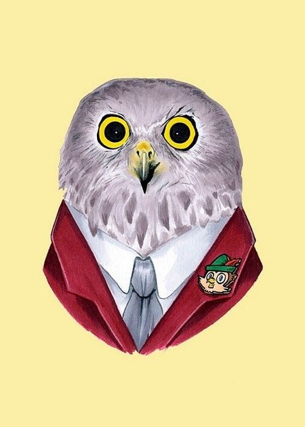 Фото Нарисованная сова в костюме