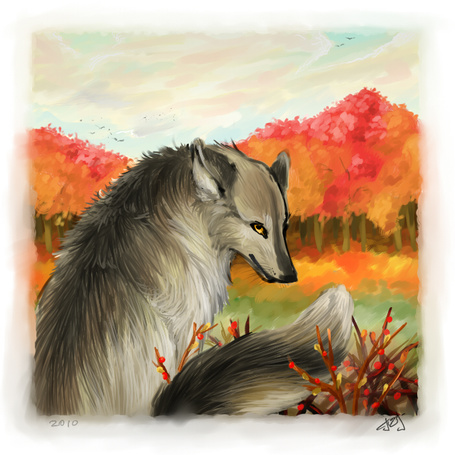 Фото Волк на фоне осенних деревьев