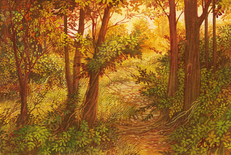 Фото Дорожка в лесу на фоне осенних деревьев