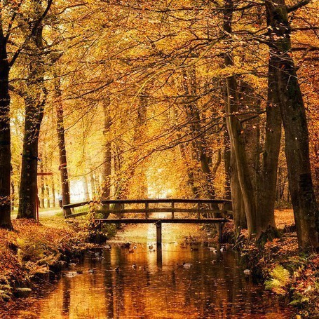 Фото Мост на фоне реки и осенних деревьев