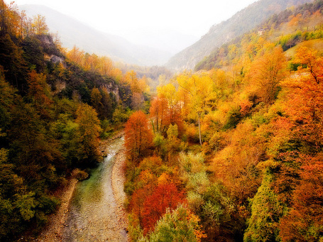 Фото Река на фоне осенних деревьев