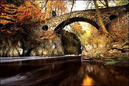 Фото Мост на фоне осенних деревьев