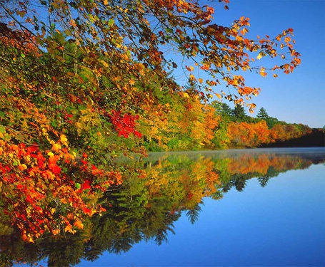 Фото Озеро на фоне осенних деревьев
