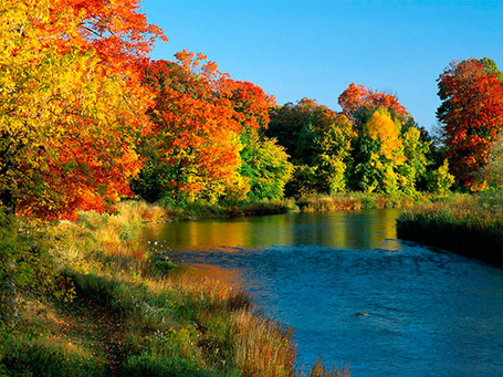Фото Река на фоне осенних деревьев