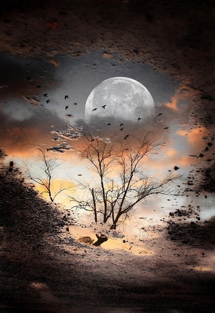Осенняя Луна Фото