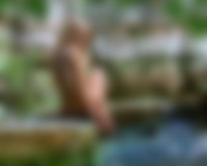 Фото Обнаженная девушка с тату на спине сидит на берегу ручья в горах