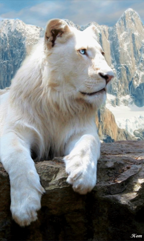 Фото Белый лев на фоне гор