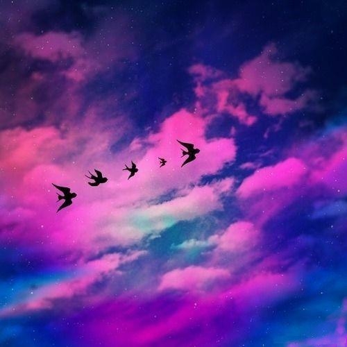 Фото Птицы на фоне голубого неба с розовыми облаками