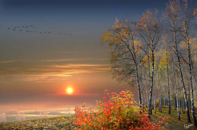 Фото Осенний пейзаж на фоне заходящего солнца и улетающих на юг стаи птиц, автор Игорь Зенин