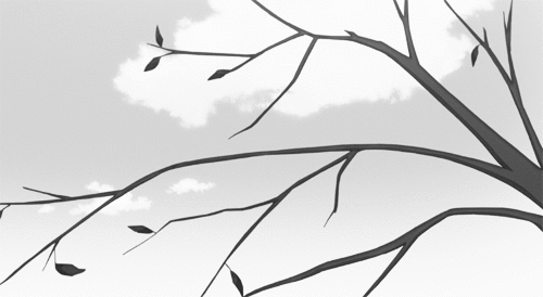 Фото Ветка дерева раскачивается на ветру