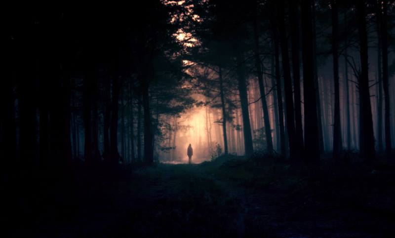 Фото Девушка стоит в глубине леса, ву baxia, kokoszkaa