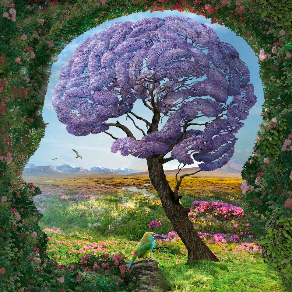 Фото Силуэт человеческой головы из дерева и растительности, автор Igor Morski