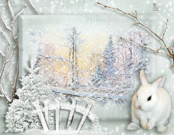 Фото Милый белый кролик на фоне заснеженного леса