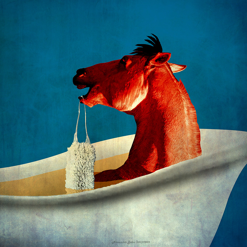 Фото Красная лошадь сидит в ванной с водой, с мочалкой в зубах