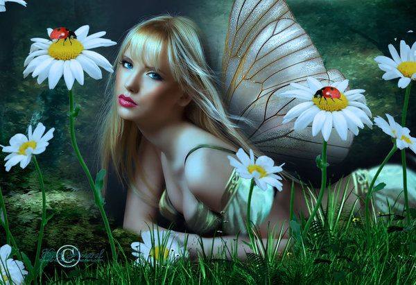 Фото Девушка с крыльями бабочки лежит среди ромашек, by DesignbyKatt