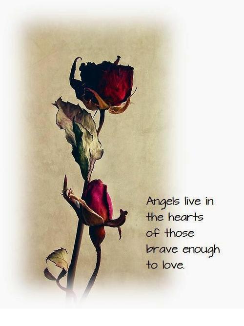 Фото Две бордовые розы, Angels live in the hearts of those brave enough to love (ангелы живут в сердцах храбрых к любви)