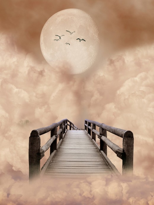 Фото Мост в облаках, луна и птицы