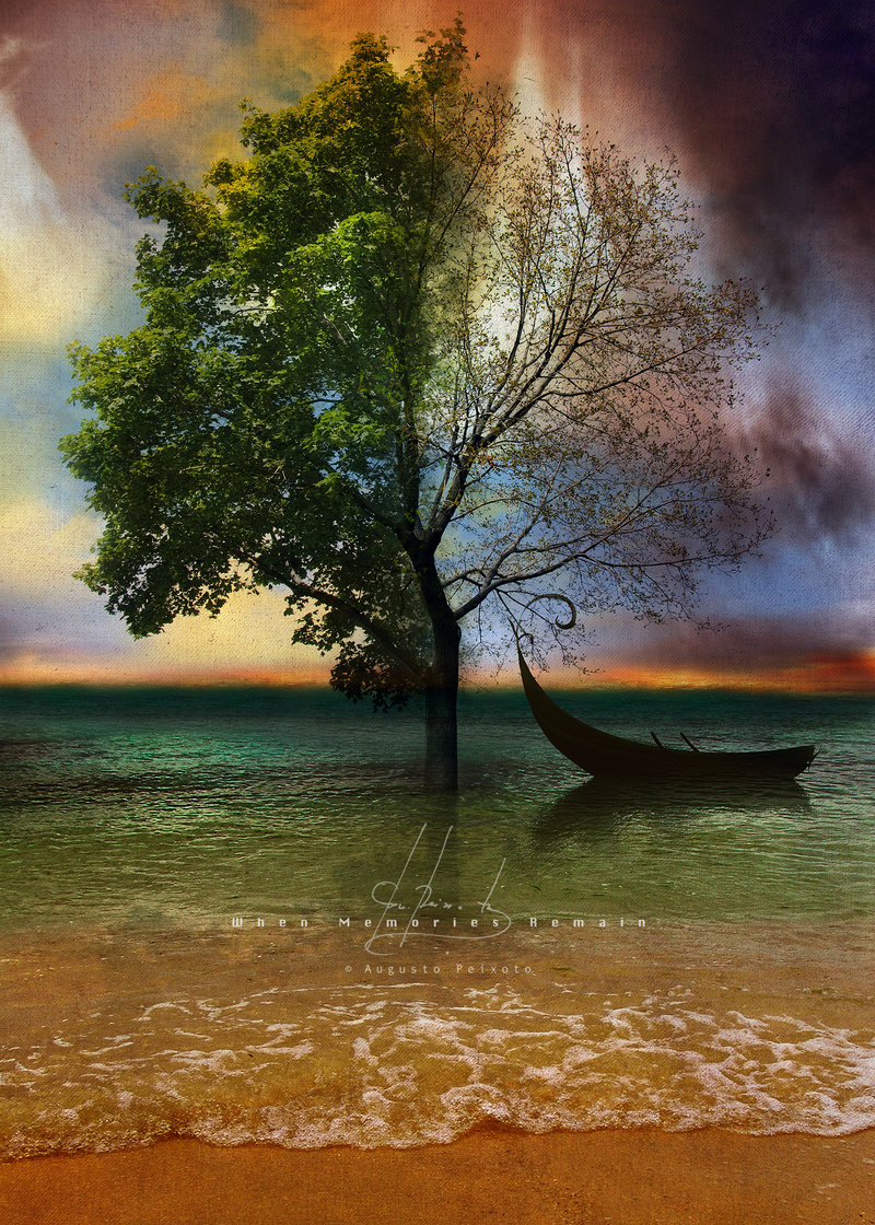 Фото Разделение посреди дерева, стоящего в воде как бы на два времени года, с одной стороны часть летнего дерева с зеленой листвой, летним небом и с другой стороны часть осеннего дерева без листвы с осенним пасмурным небом, с осенней стороны на воде стоит лодка, автор Augusto Peixoto