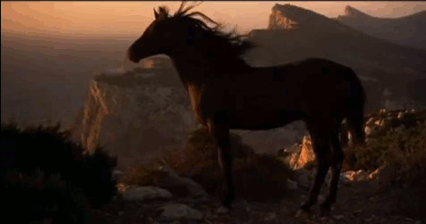 Фото Лошадь стоит на фоне гор