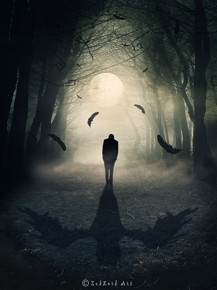 Фото Парень и тень ворона на дороге среди туманного темного леса, by zedlord art