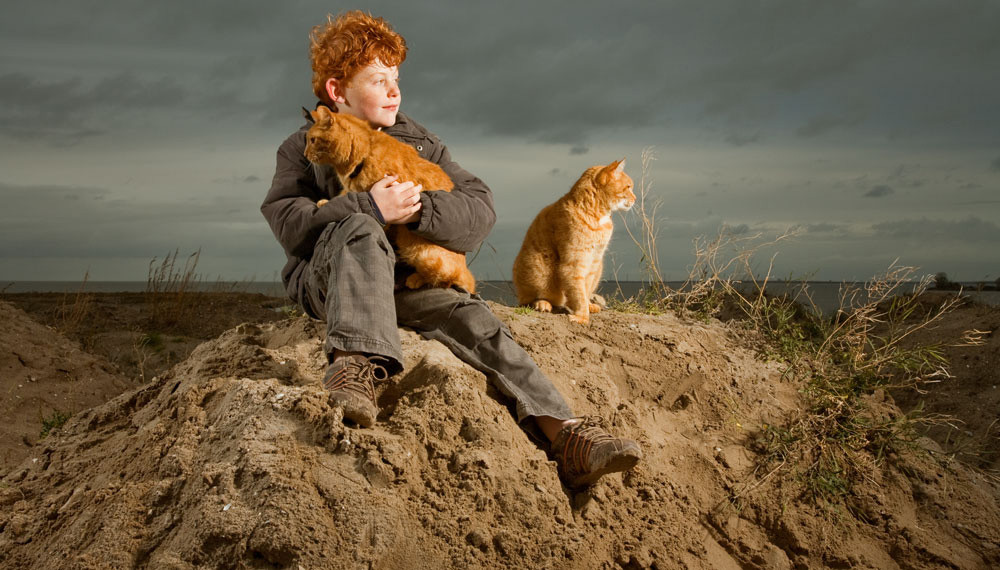 Фото Мальчик и два рыжих кота сидят на горке песка