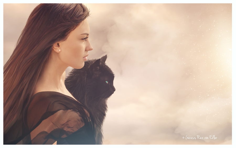 Фото Девушка и черный кот