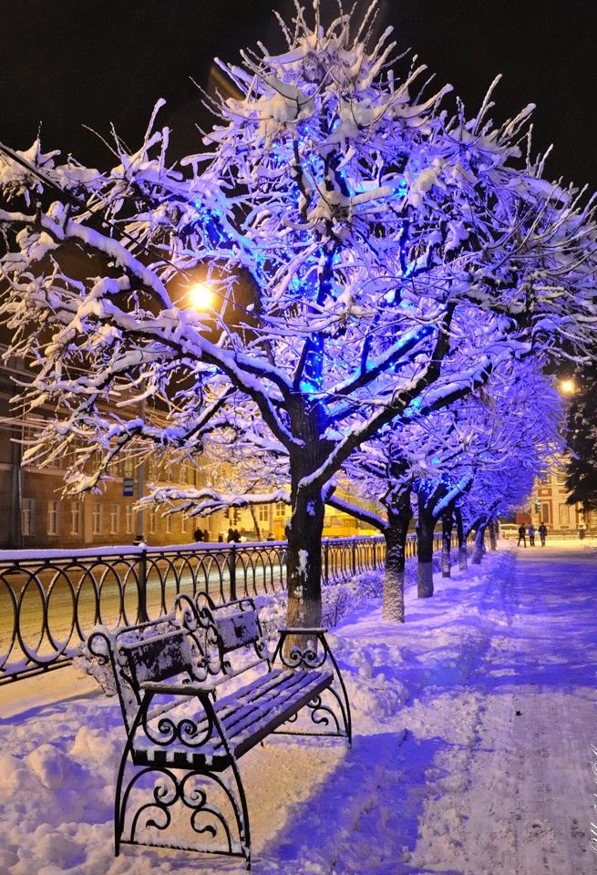 Хорошего зимнего вечера — лучшие картинки (47 ФОТО)