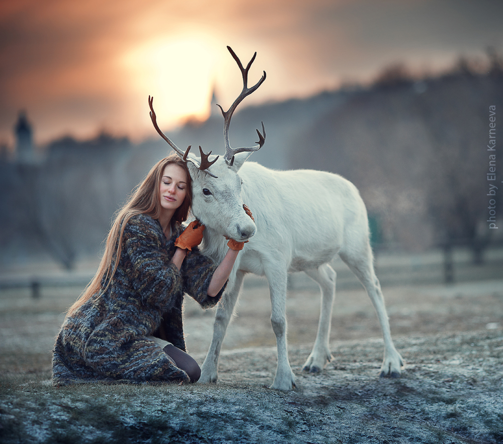 Фото Девушка с белым оленем, фотограф Карнеева Елена