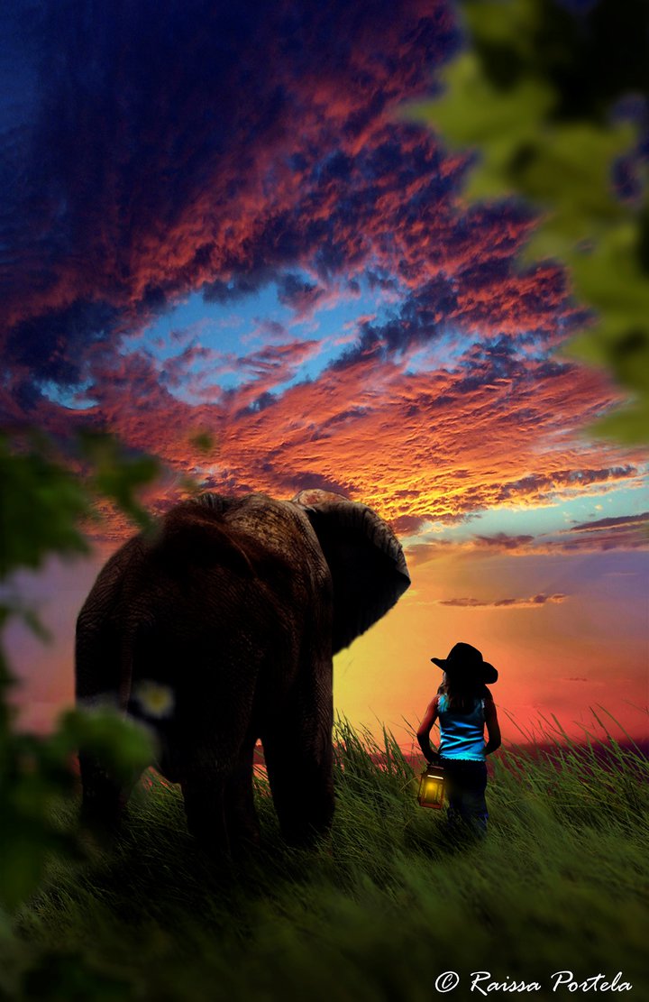 Фото Темноволосая девочка в темной, широкополой шляпе, держащая в руке горящий фонарь, идущая по зеленой траве рядом со слоном на фоне заката на вечернем небосклоне с разноцветными, перистыми облаками, автор Raissa Portela