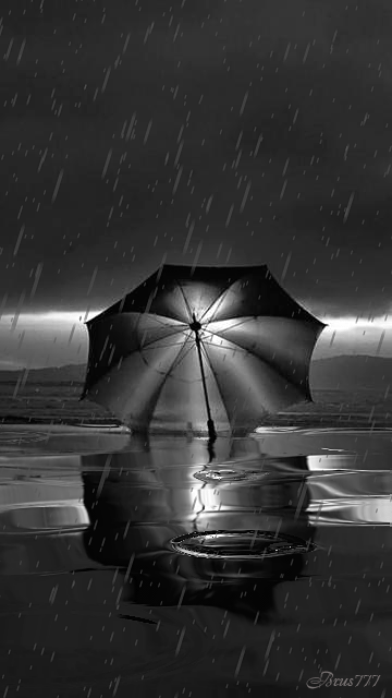 image_562512142212351704702.gif