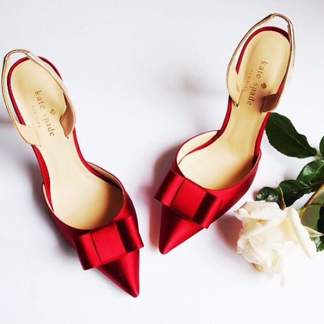 Фото Женские туфли и роза
