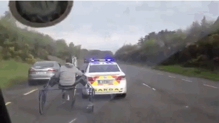 Фото Полицейская машина и две упряжки лошадей с жокеями соревнуются в скорости на шоссе