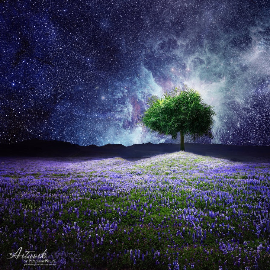 Фото Одинокое дерево с пышной, ярко-зеленой листвой, растущее на возвышенности среди цветочного поля с фиолетовыми люпинами на фоне ночного, звездного неба с космическим свечением, автор ParadisiasPicture